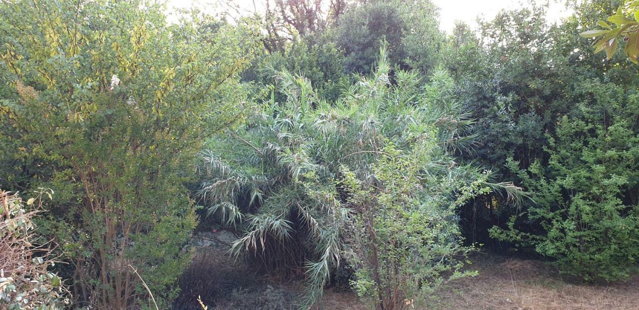 Vila La Teze Le Castellet  Exteriér fotografie