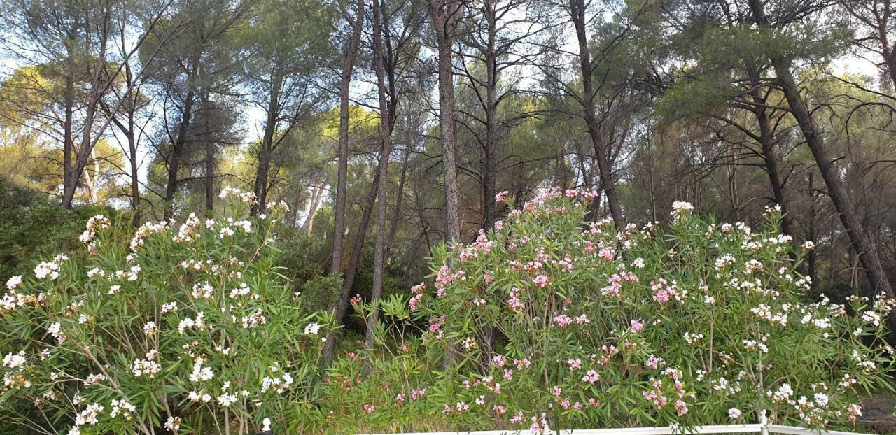 Vila La Teze Le Castellet  Exteriér fotografie